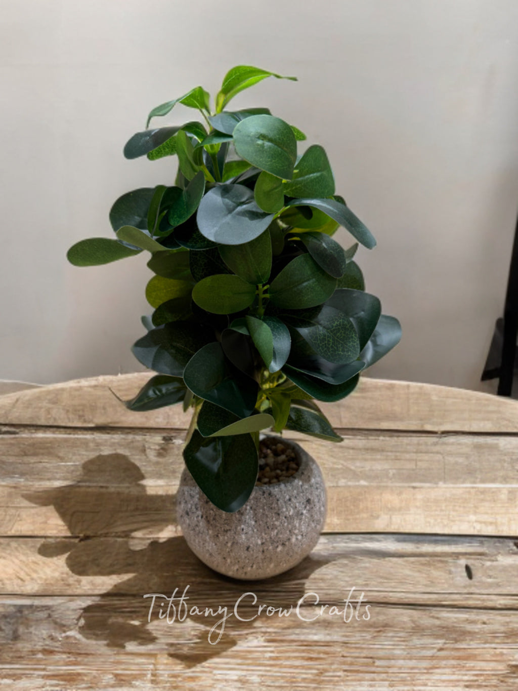 THE ZEN PEBBLE SHRUB