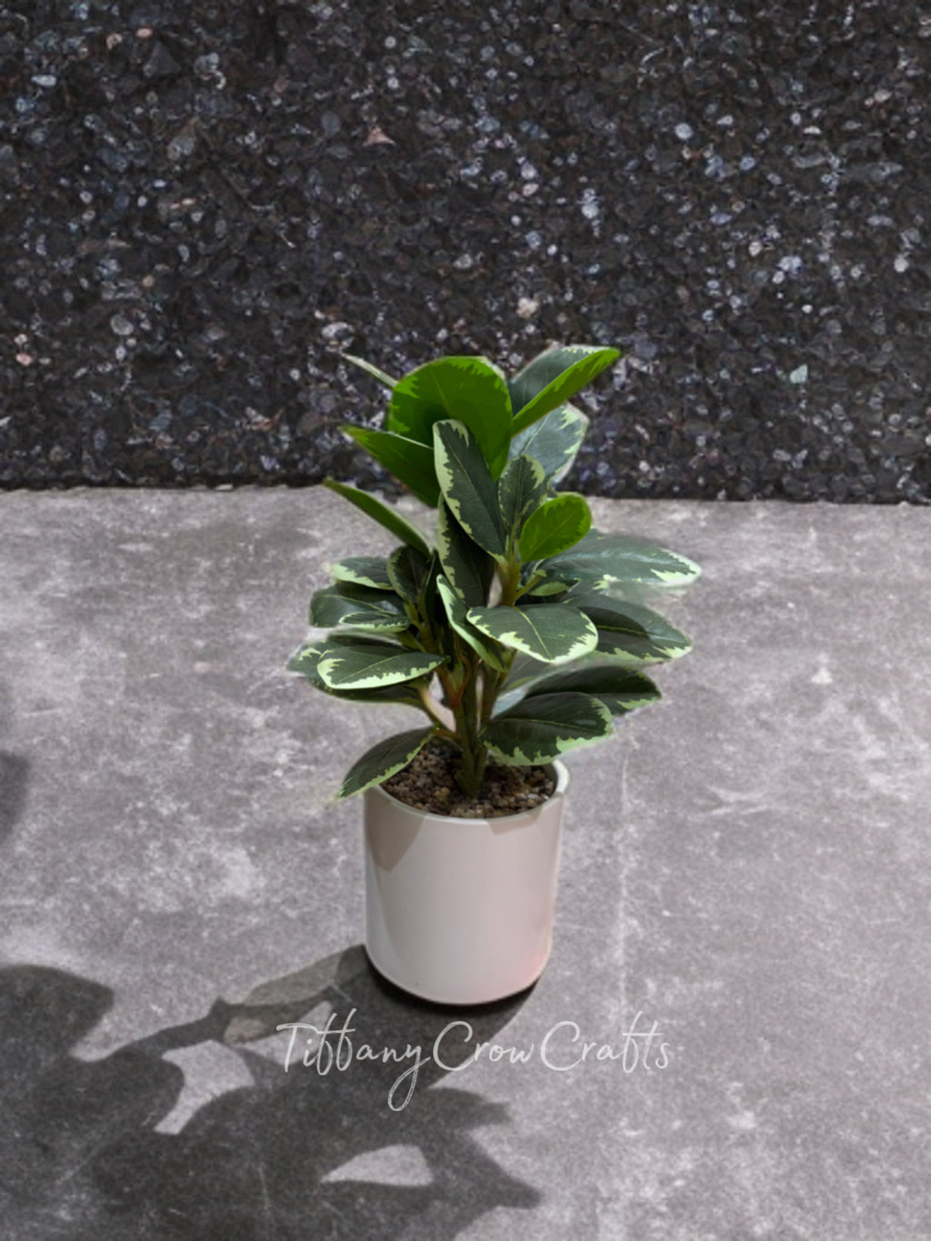 VARIEGATED FAUX RUBBER PLANT