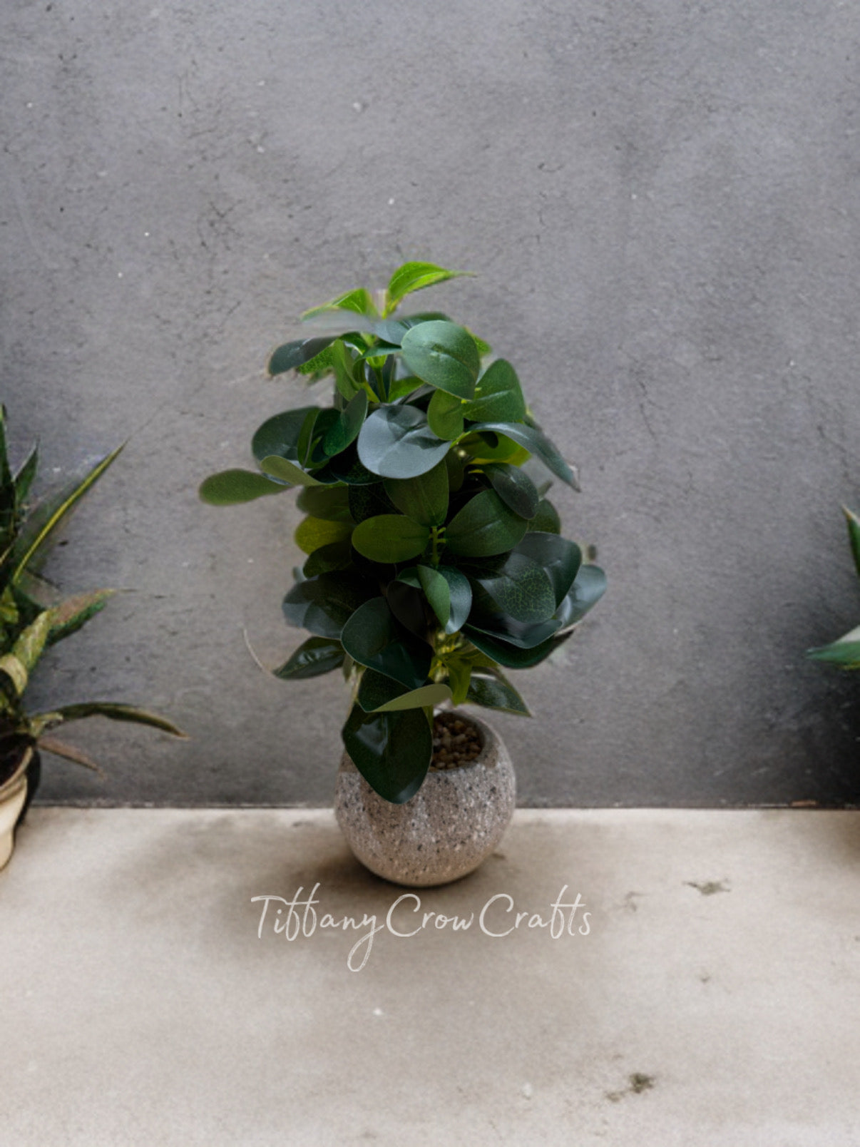 THE ZEN PEBBLE SHRUB