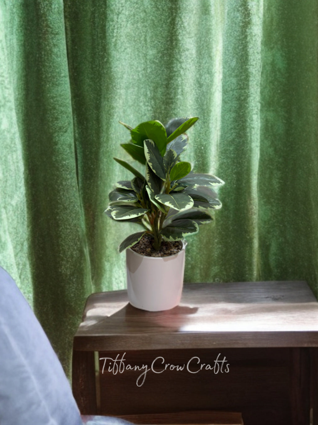 VARIEGATED FAUX RUBBER PLANT
