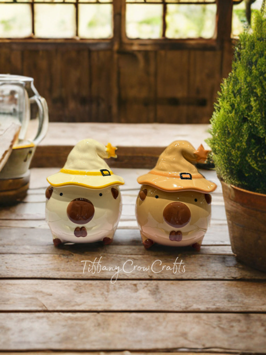 MYSTICAL SORCERER CAPYBARA CERAMIC MUG