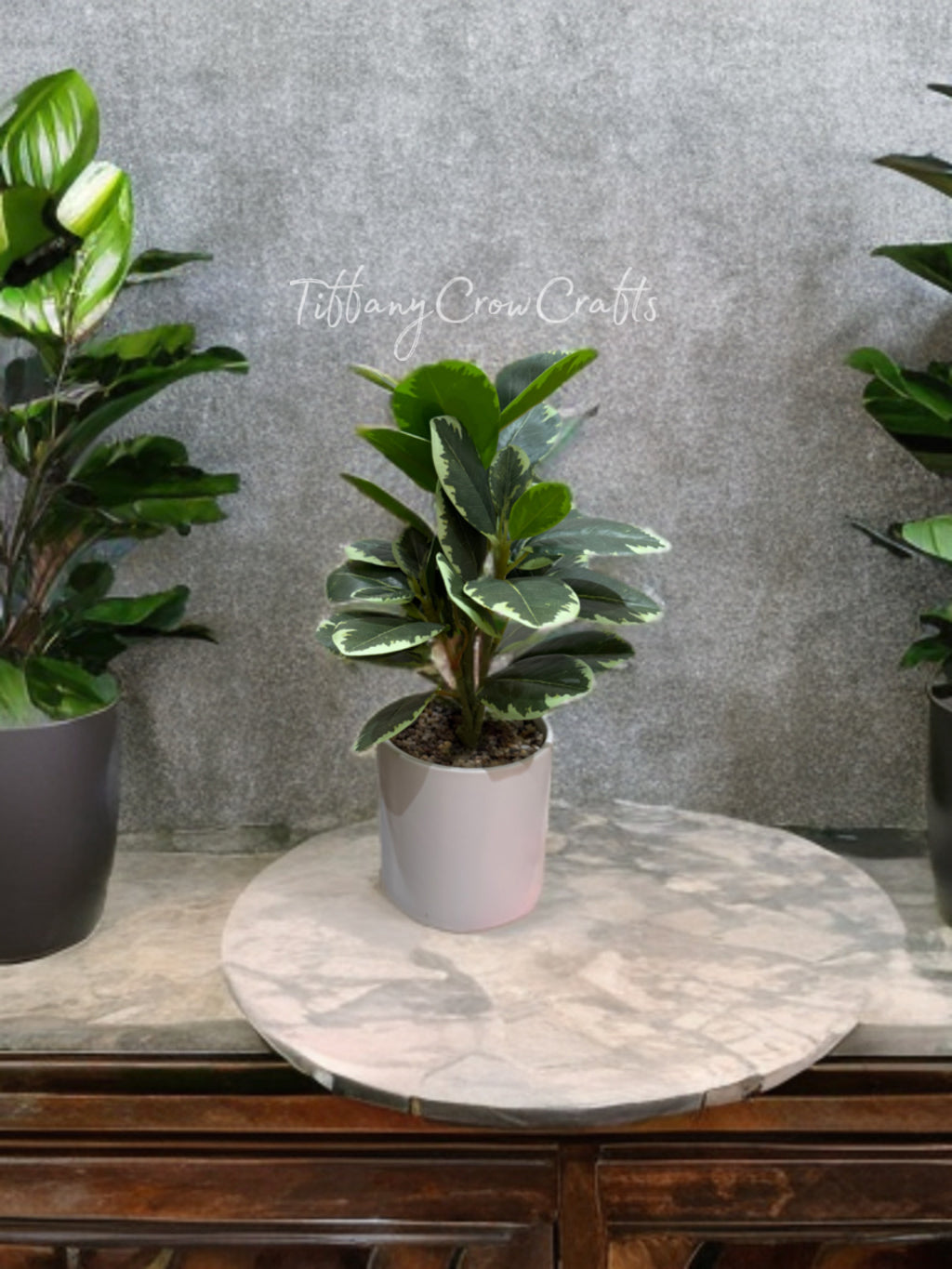 VARIEGATED FAUX RUBBER PLANT