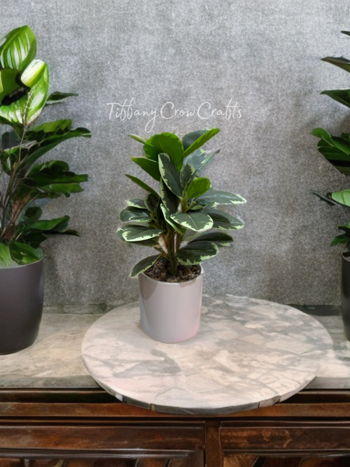 VARIEGATED FAUX RUBBER PLANT