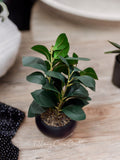 MODERN ORB FAUX FOLIAGE POT